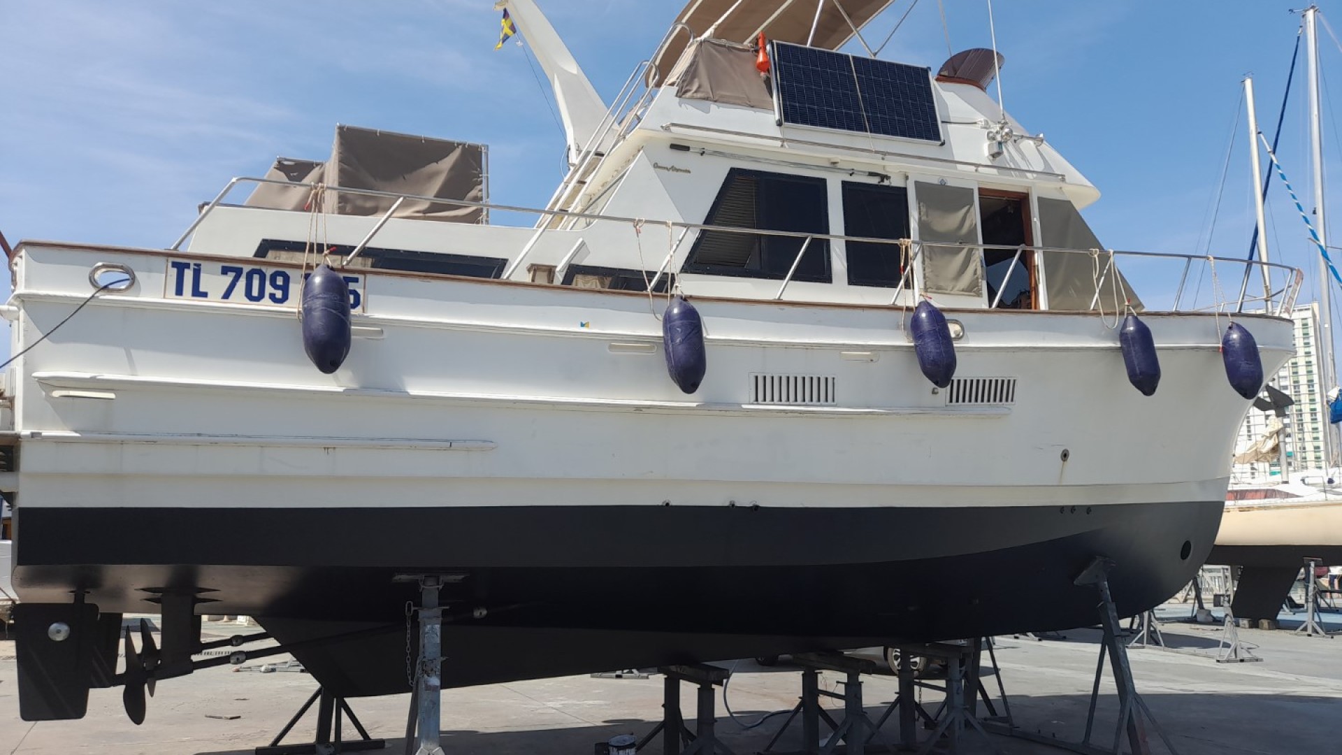 OCEAN ALEXANDER - ALEXANDER 38 à vendre