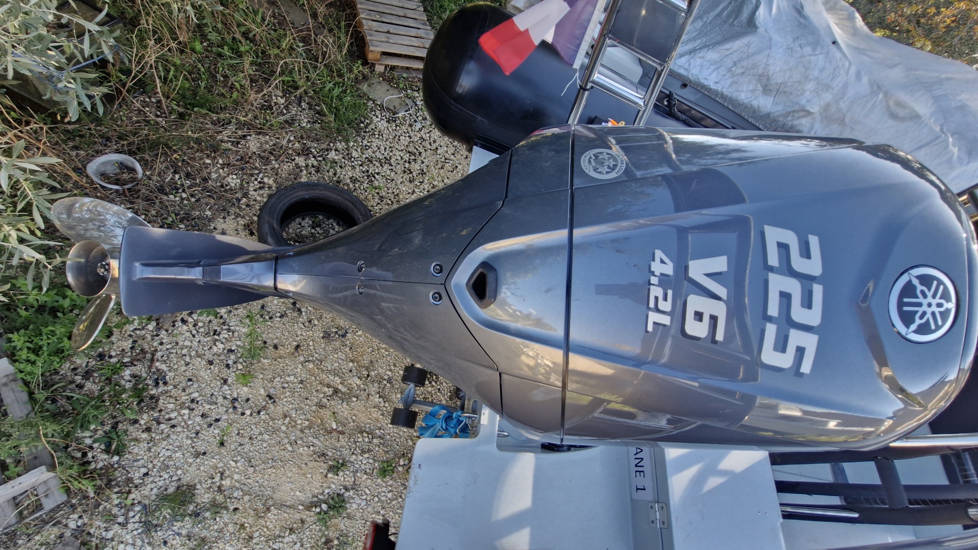 CAPELLI - TEMPEST 700 WORK à vendre