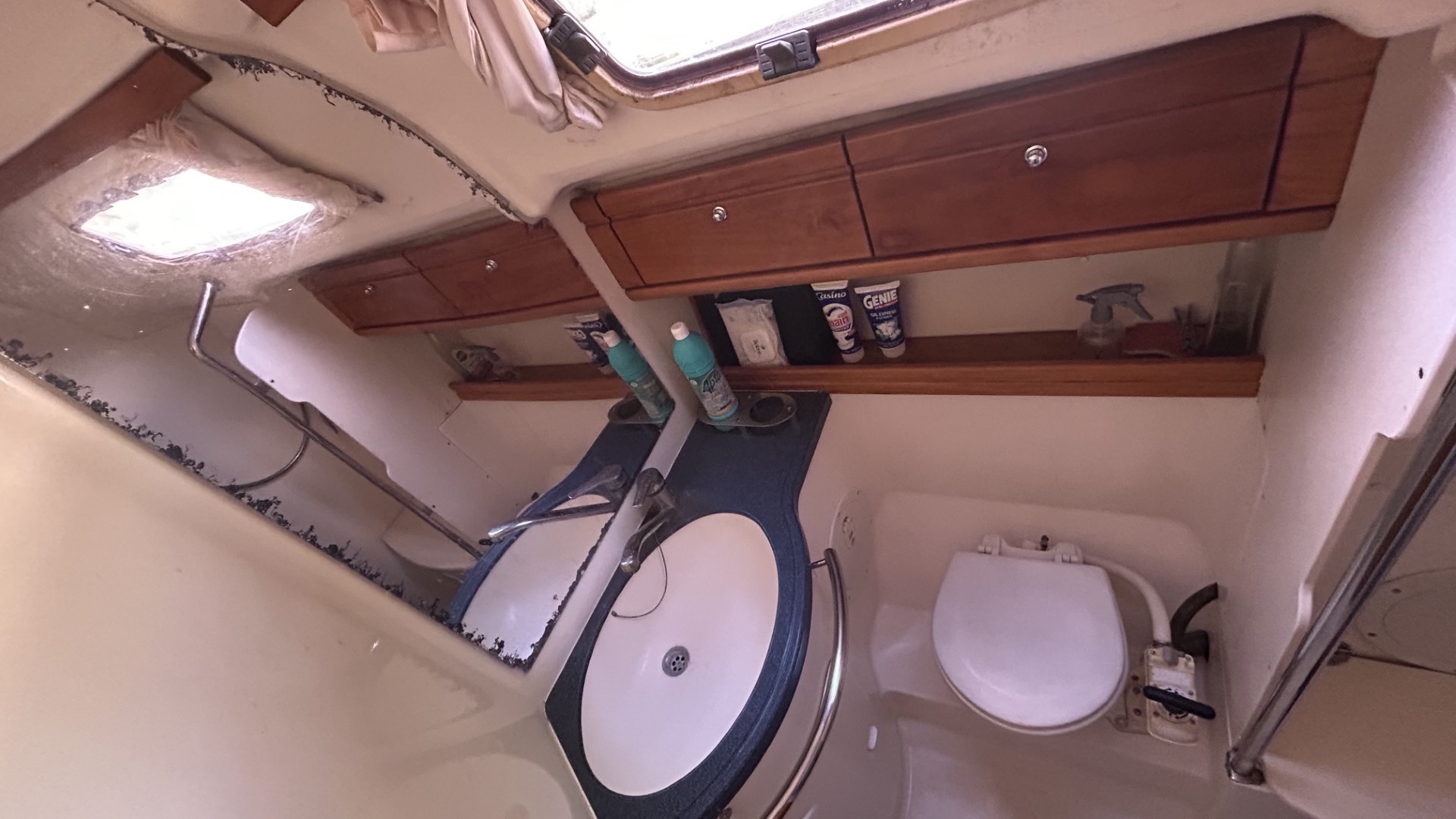 BAVARIA - 39 CRUISER à vendre