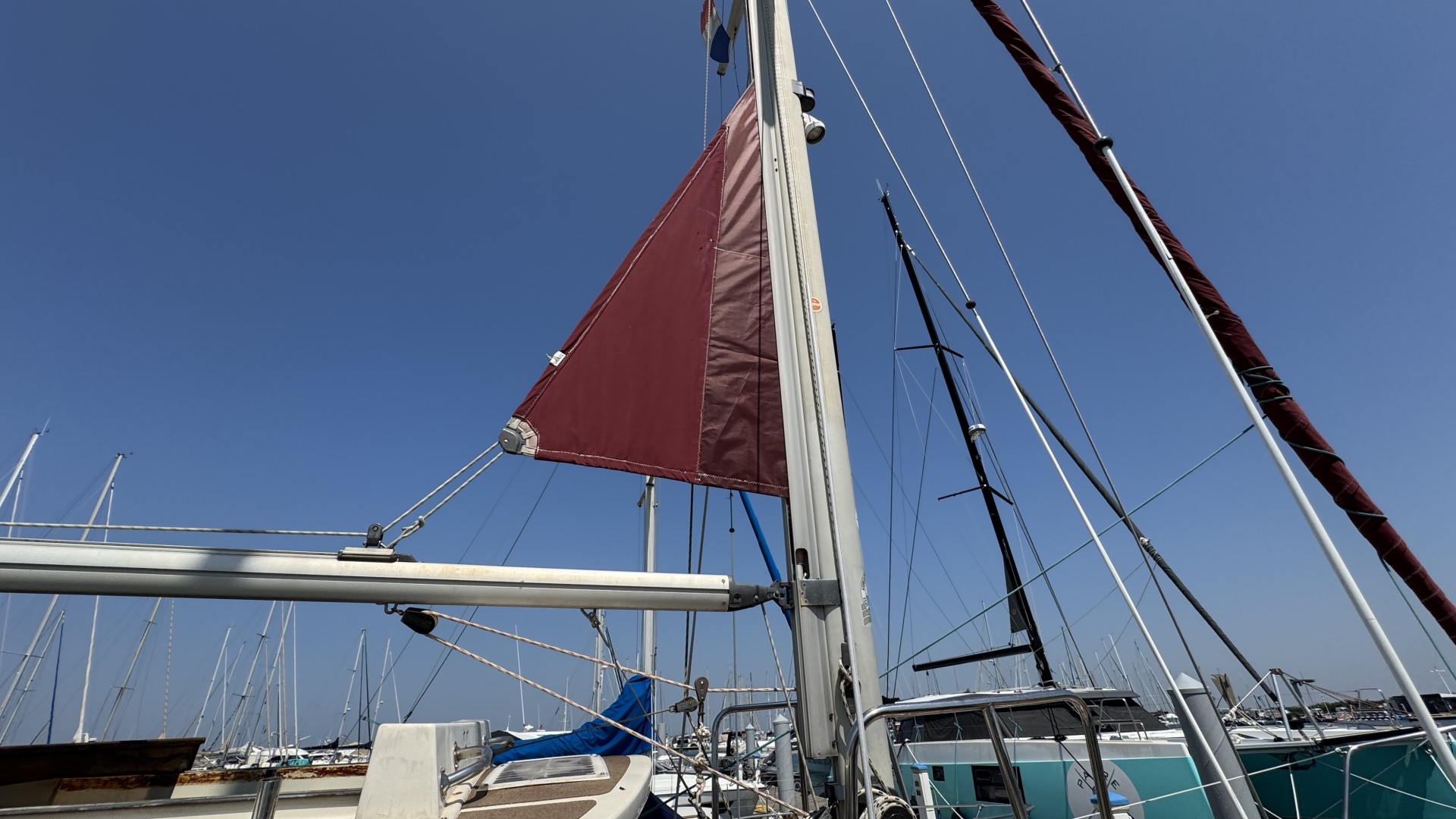 BUCK - fisher 31 à vendre