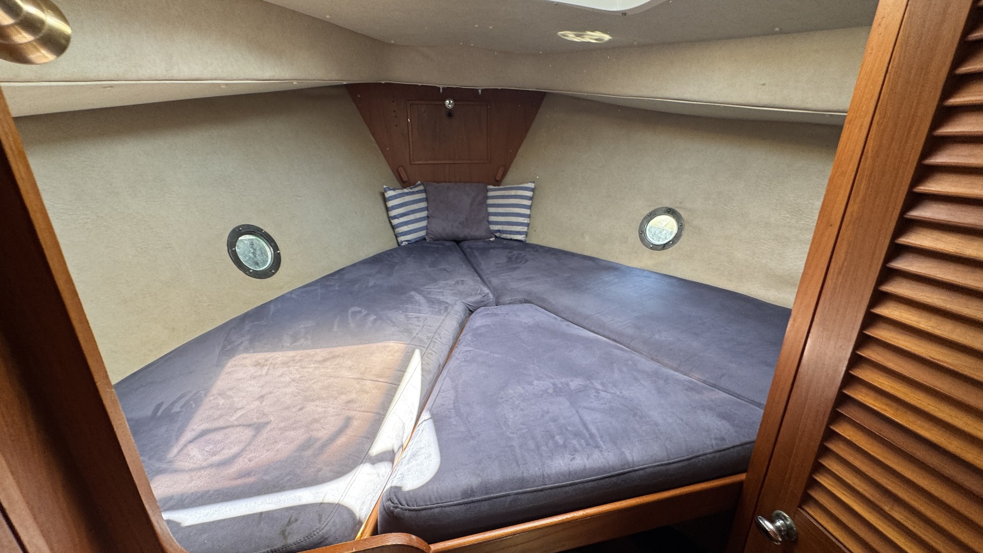 BUCK - fisher 31 à vendre