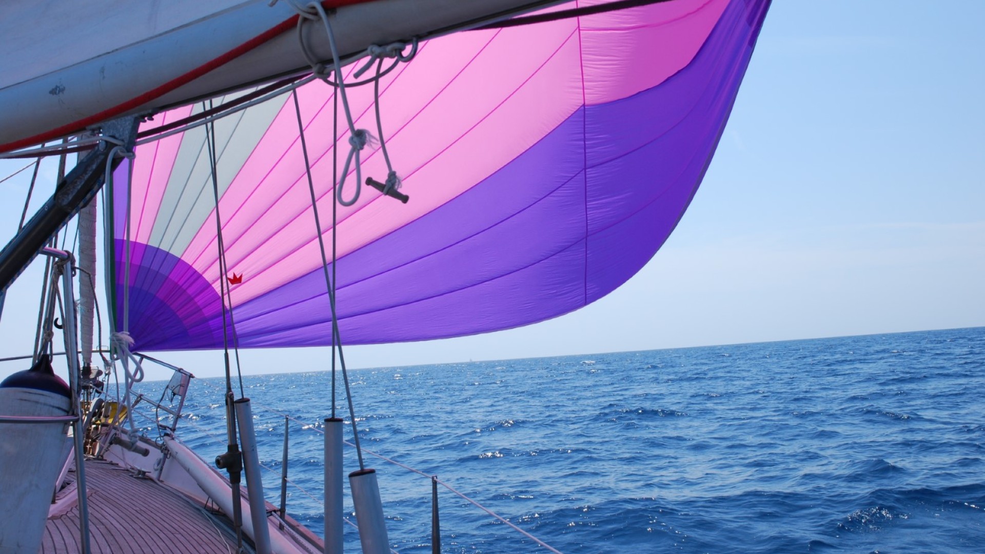 WAUQUIEZ - AMPHITRITE 43 à vendre