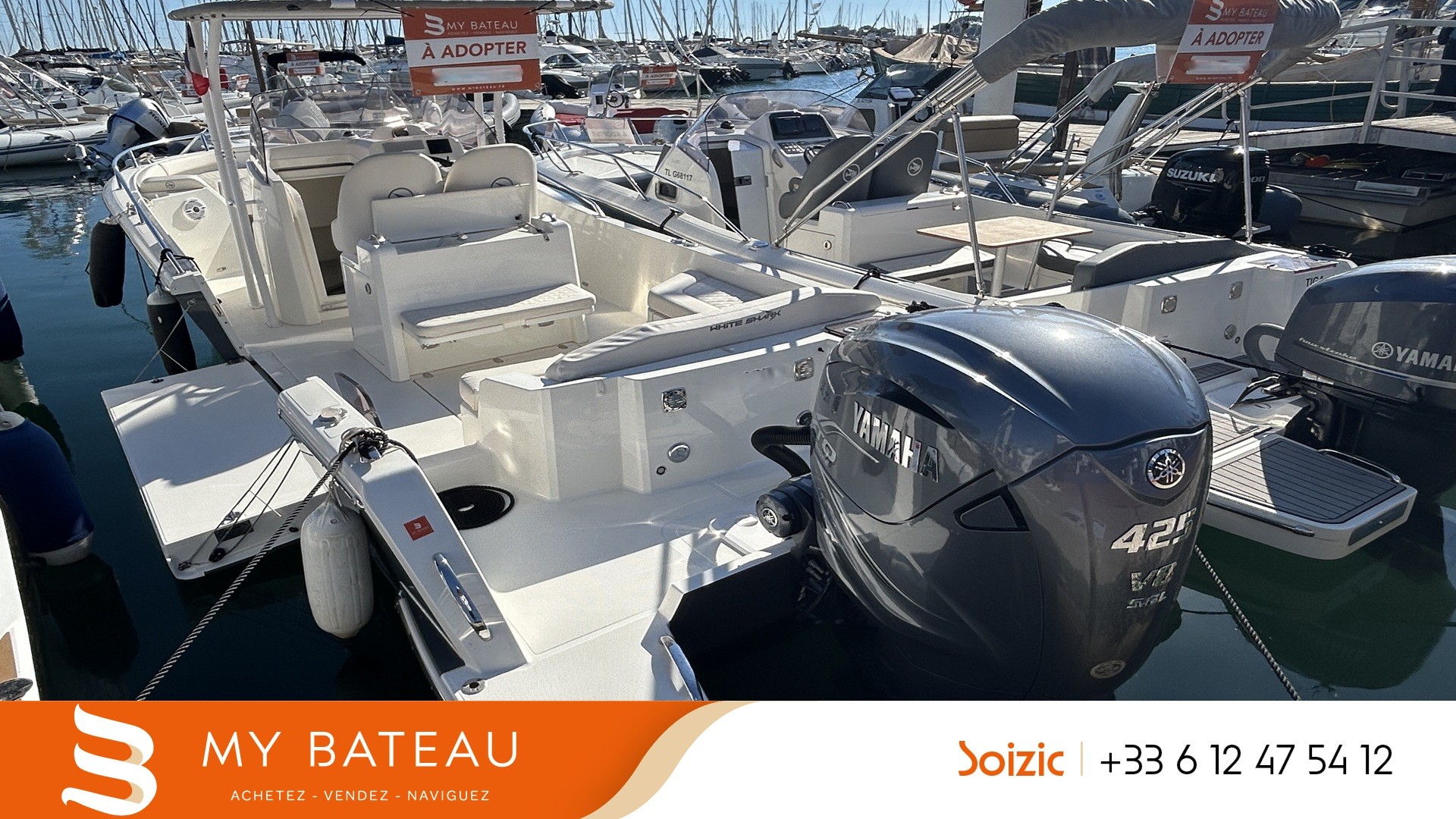 WHITE SHARK - 280 CC EVO à vendre