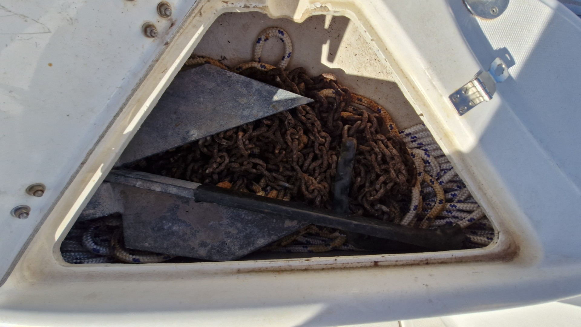 WHITE SHARK - 205 à vendre