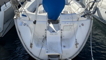 BAVARIA - 42 à vendre
