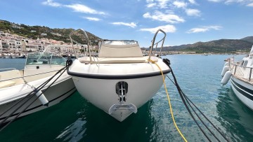 QUICKSILVER - 875 SUNDECK à vendre