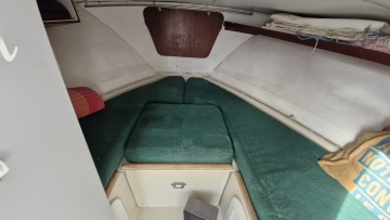 BERTRAM - 25 à vendre