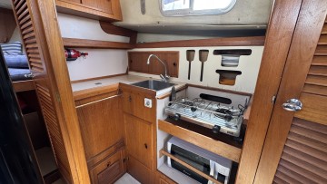 BUCK - fisher 31 à vendre