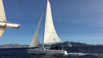 MAREE HAUTE - DJANGO 8S à vendre