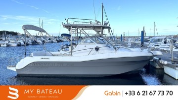 QUICKSILVER - 750 COMMANDER à vendre