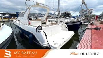 FAETON - 980 SPORT à vendre